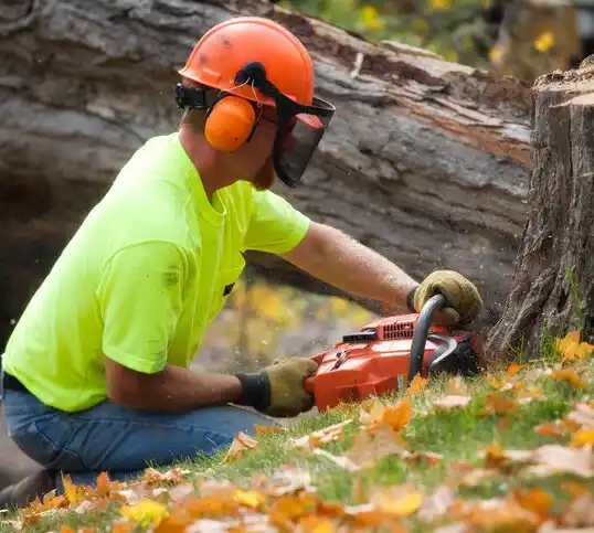 tree services Appleton